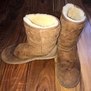 Chestnut classic Uggs size 10